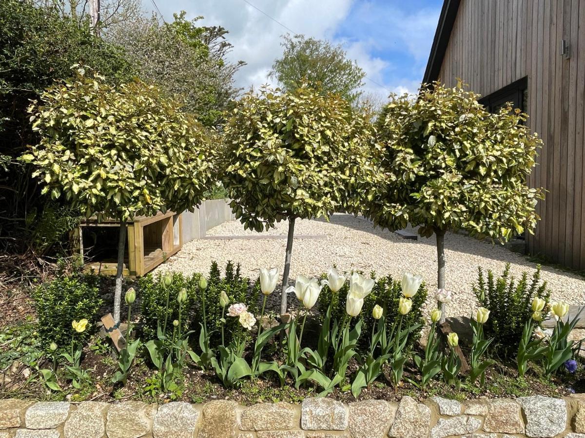 בית הארחה Ilsington 	Cedar House מראה חיצוני תמונה